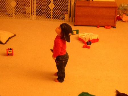 Click for Photo Editing Index